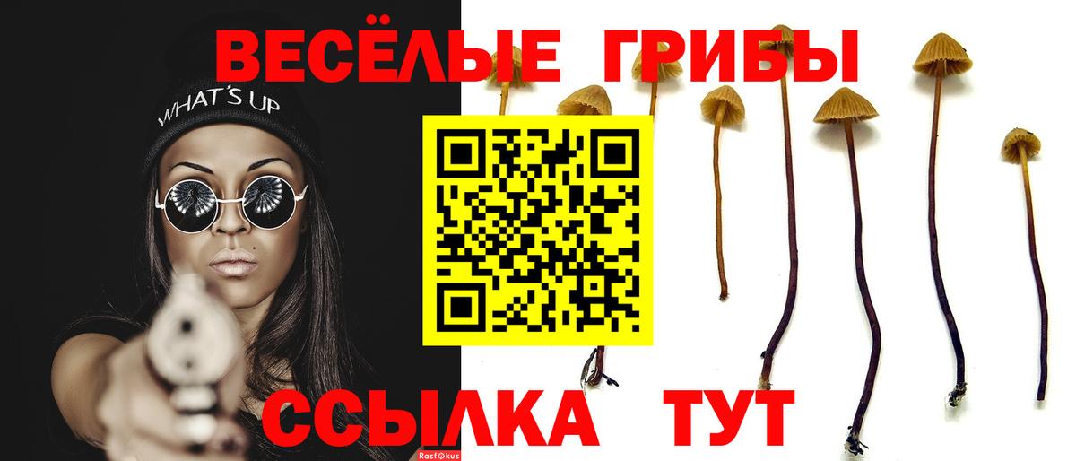 Галлюциногенные грибы GOLDEN TEACHER Бердск